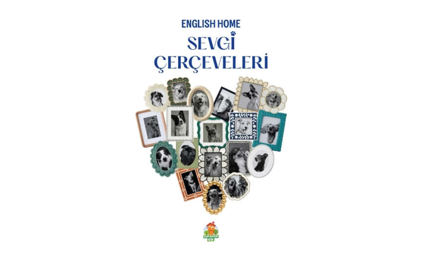 English Home Magazalarindaki Cerceveler Patili Dostlari Sahiplendirme Noktasina Donusuyor