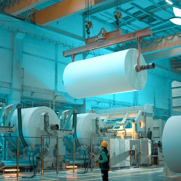 Lila Kağıt, 2025 Yılını Güçlü Bir Finansal Performansla Kapattı