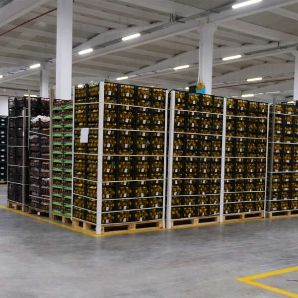 Türkiye’de İlk ve Tek BRCGS S&D Sertifikalı A101 Deposu 5. Kez AA Notu Aldı