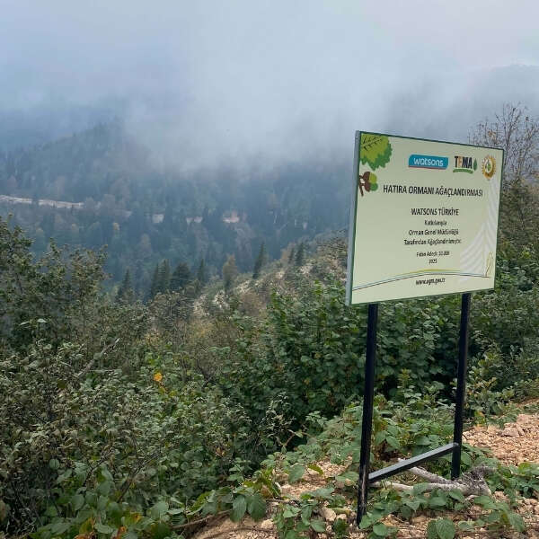 Watsons Türkiye’den 500 bin fidan bağışı