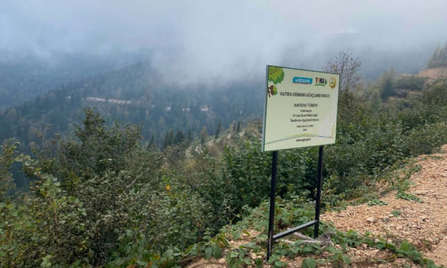 Watsons Turkiyeden 500 bin fidan bagisi