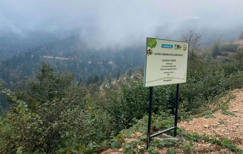 Watsons Turkiyeden 500 bin fidan bagisi