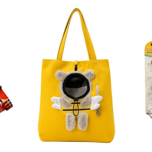 Home 26 Dünya Evcil Hayvan Günü’nde Patili Dostların İhtiyaçları MR.DIY’de