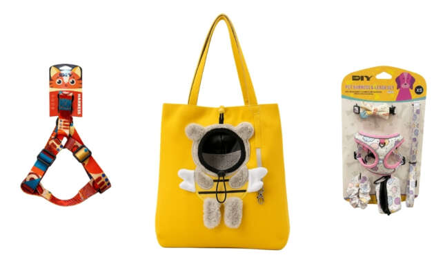 Dunya Evcil Hayvan Gununde Patili Dostlarin Ihtiyaclari MR.DIYde