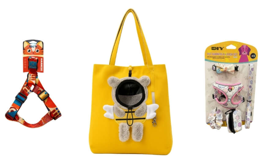 Dunya Evcil Hayvan Gununde Patili Dostlarin Ihtiyaclari MR.DIYde