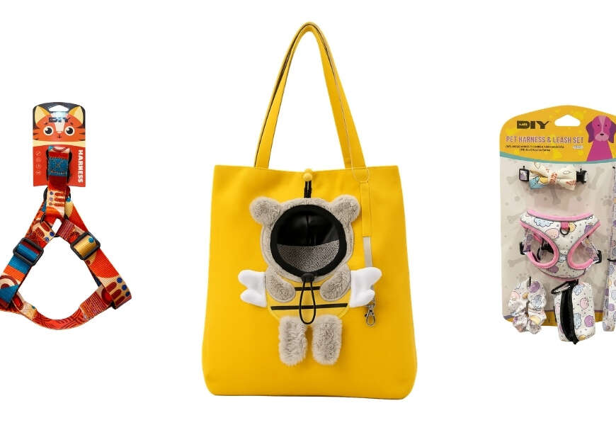 Dunya Evcil Hayvan Gununde Patili Dostlarin Ihtiyaclari MR.DIYde