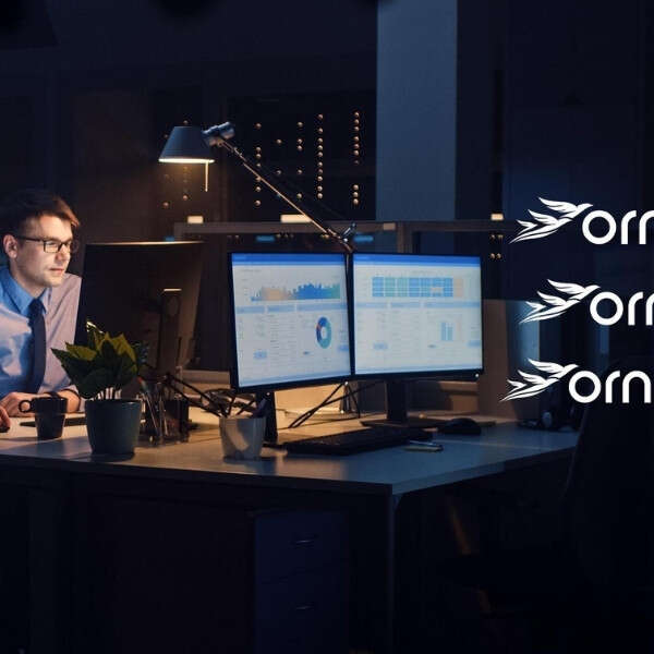 İşNet’ten Entegre Siber Güvenlik Yaklaşımı: Ornis Ürün Ailesi