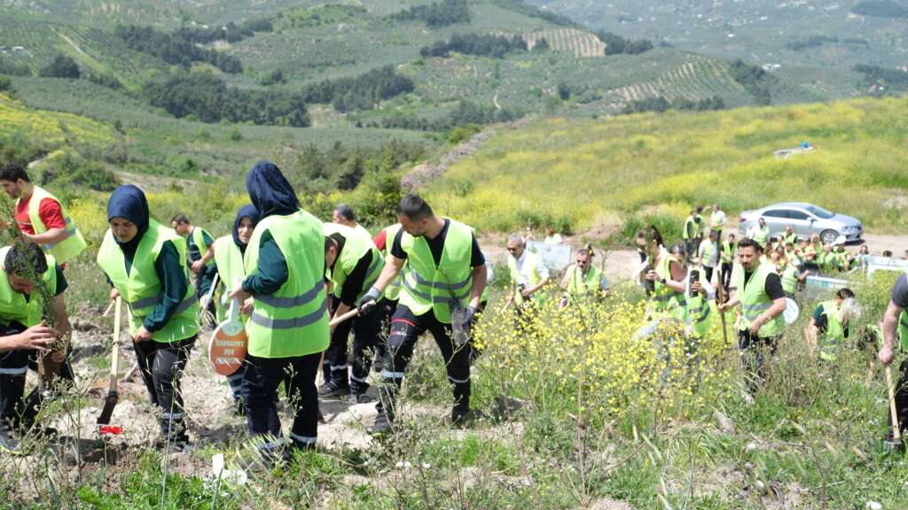 50.Yil Hatira Ormani 4
