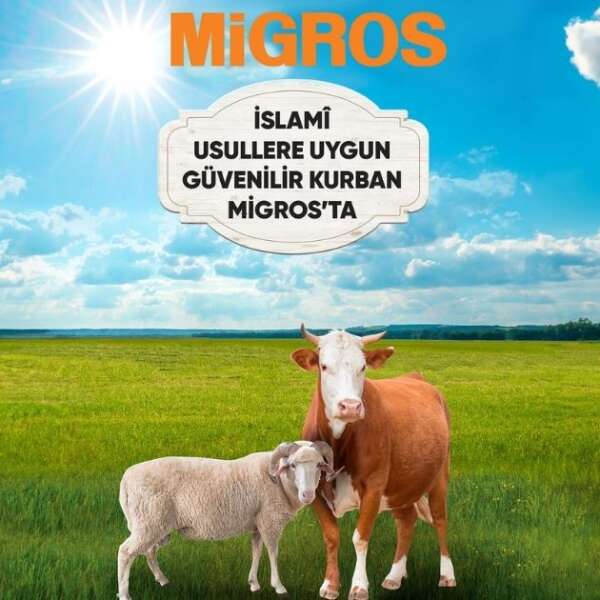 İslami Usullere Uygun Güvenilir  Kurban Ücretsiz Kasaplık Hizmeti ile Migros’ta