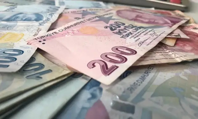 Mayis Ayinda Getiri Sampiyonu Mevduat Oldu