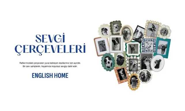English Homeun Sevgi Cerceveleri Projesine Odul Yagmuru