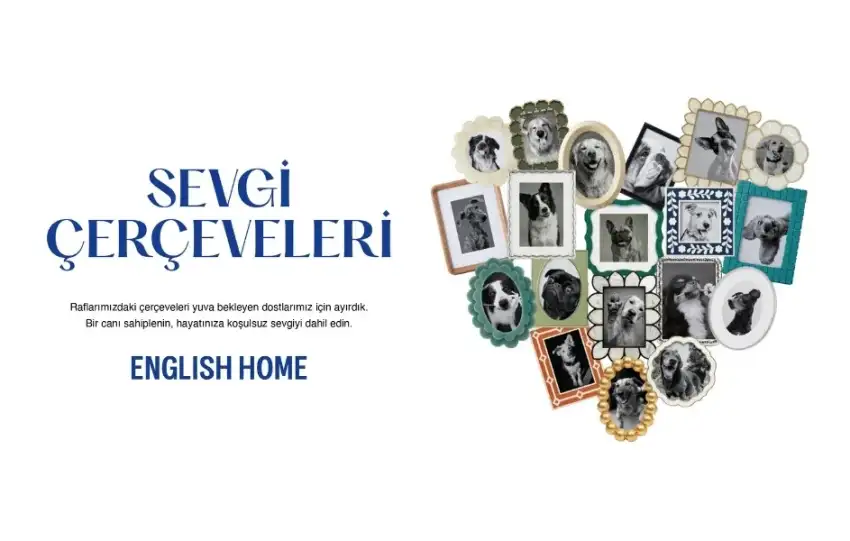 English Homeun Sevgi Cerceveleri Projesine Odul Yagmuru
