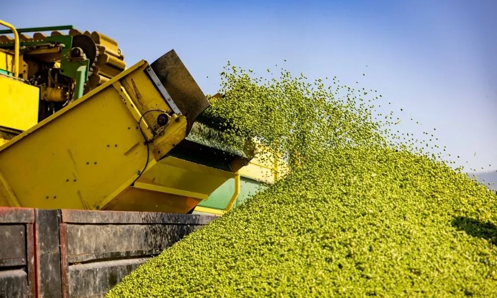 Toprağın bereketi SuperFresh’in ‘hasat’ıyla yılın 365 günü sofralarda 1 Topragin bereketi SuperFreshin ‘hasatiyla yilin 365 gunu sofralarda 1