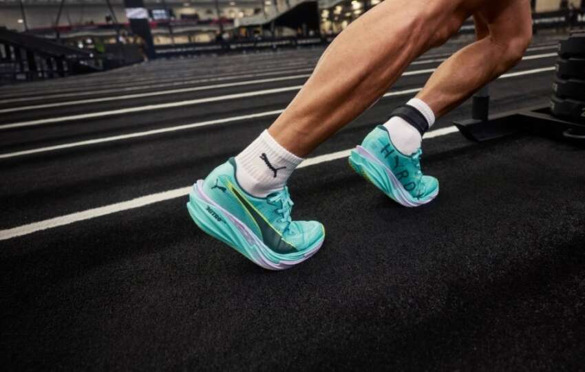 puma