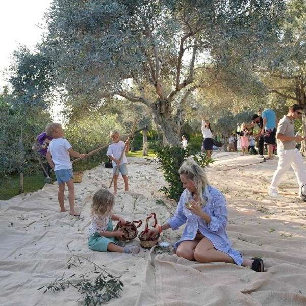Fişekhane’de Olive Fest 2026 Heyecanı Başlıyor